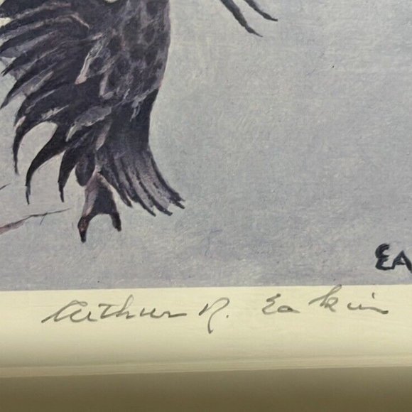 Maryland Migratory Duck Stamp Print "FLARING WIDGEON" Arthur Eakin 1981 #344 - Picture 5 of 10